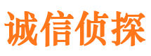 赵县侦探公司